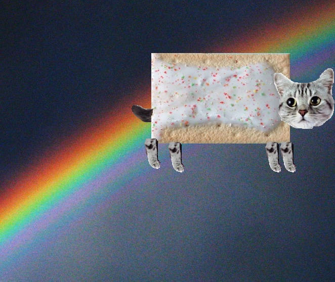 topdogged's tweet photo. Real Nyan Cat https://t.co/jPqHWketKA