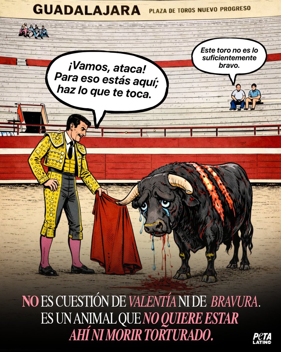 Con muy poca asistencia, este fin de semana en Guadalajara, un evento cruel terminó con la vida de seis toros inocentes.🩸
Como es costumbre, hubo quejas de que los toros no fueron “lo suficientemente bravos”.
En realidad, los toros no quieren estar ahí para ser torturados y