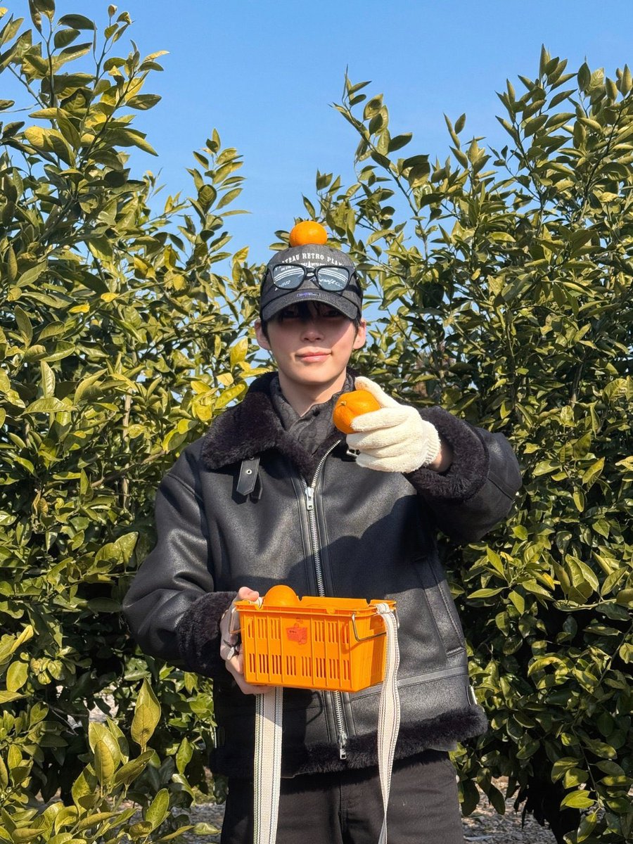 hbincom's tweet image. 귤 들고있어도 점순아 감자가 맛있단다 떠올라서 귤을 감자로 리네이밍시키는미있다,