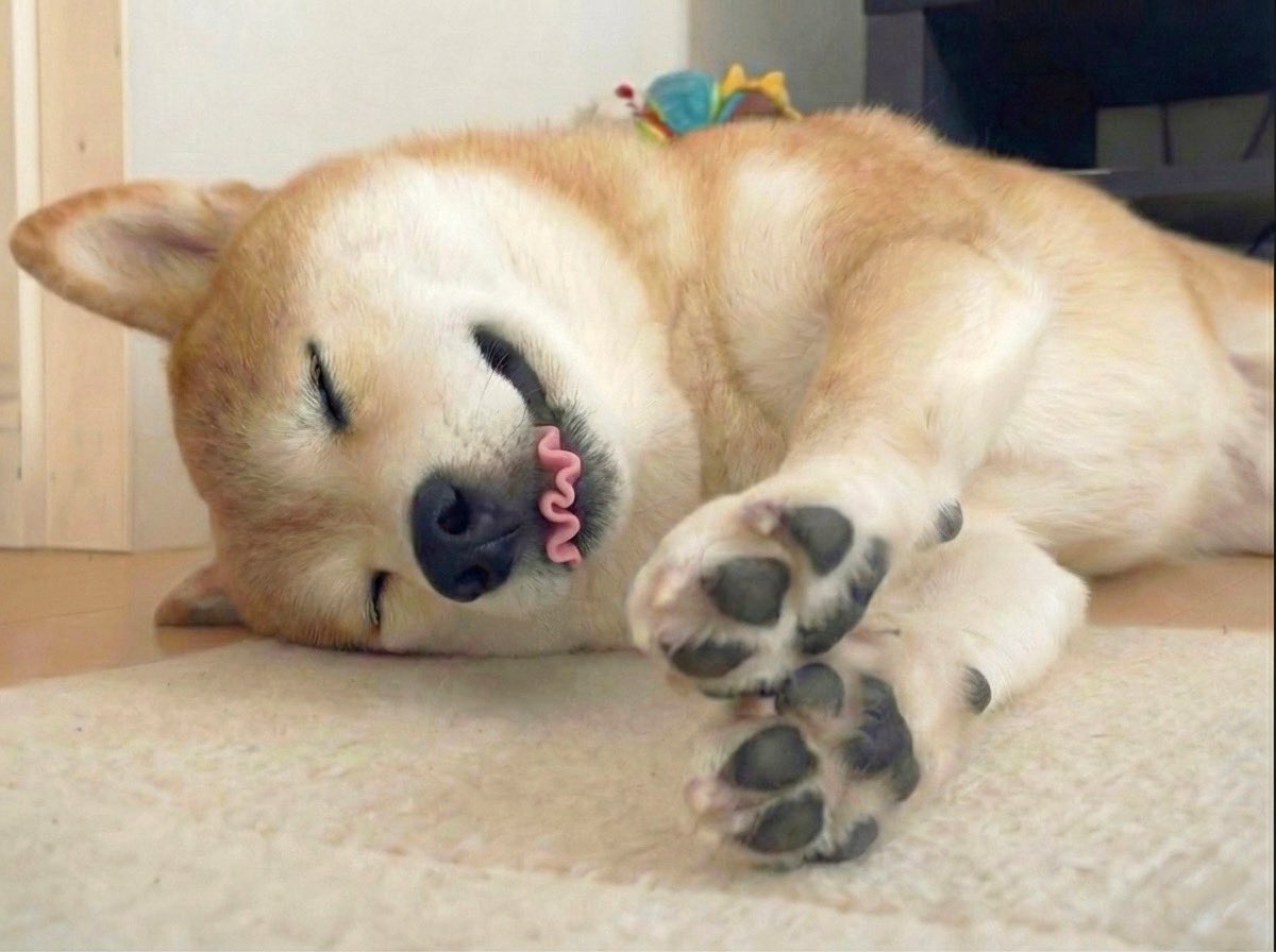 とんでもなく波打ちすぎてる