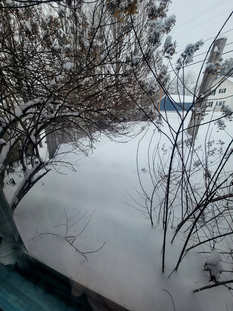 Mindy Sommers (Aka Sasha Art Studio) tweet media