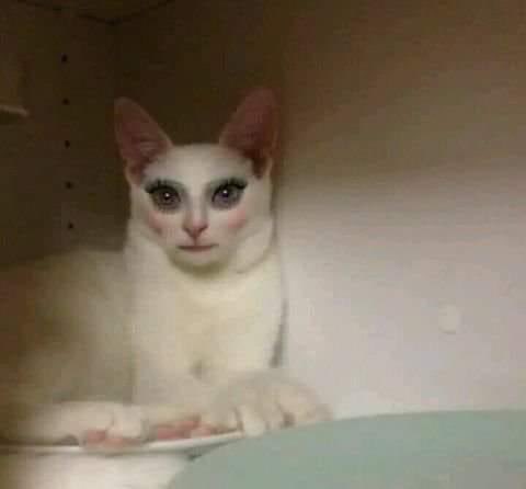 nmlesskook's tweet photo. ay bbs yo si parezco esquizofrénica viendo la página de TM cada hora por si sueltan algo https://t.co/OBrEMC3czX