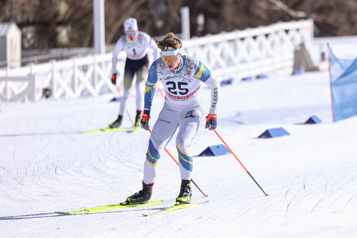 Nanooks Nordic Ski tweet media