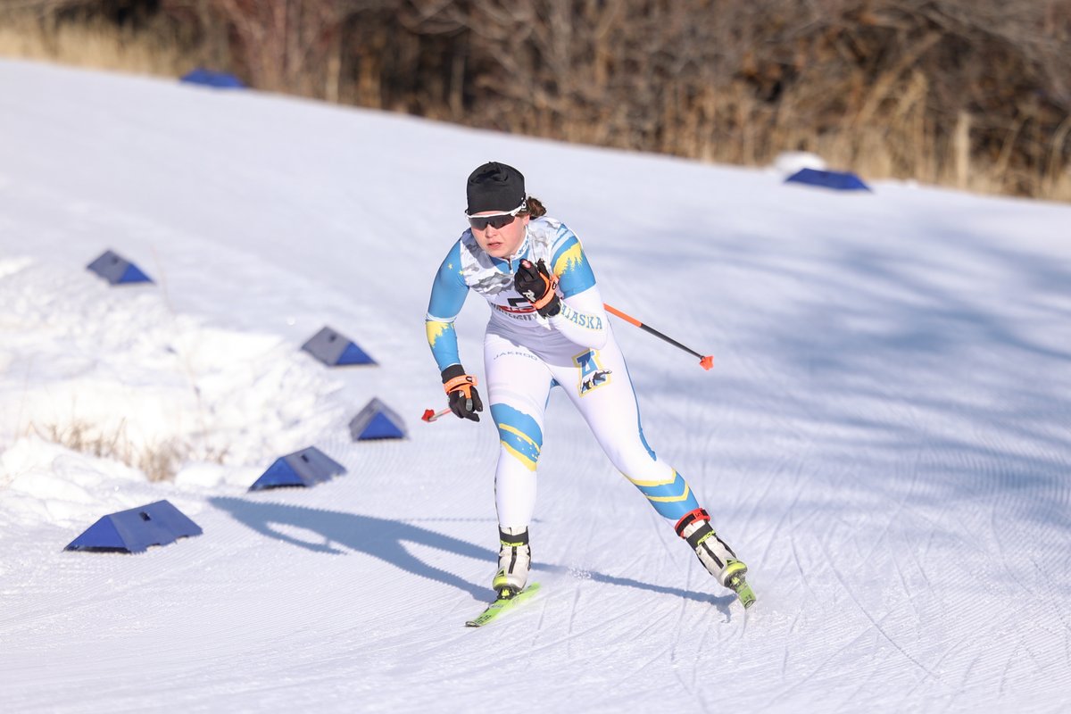 Nanooks Nordic Ski tweet media