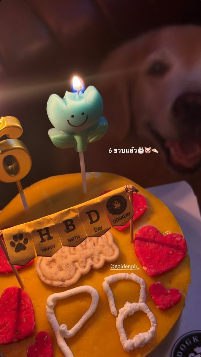 EstSuphaIntl's tweet image. Ig stories update: est_rvp
[27.01.2026]

#est_rvp