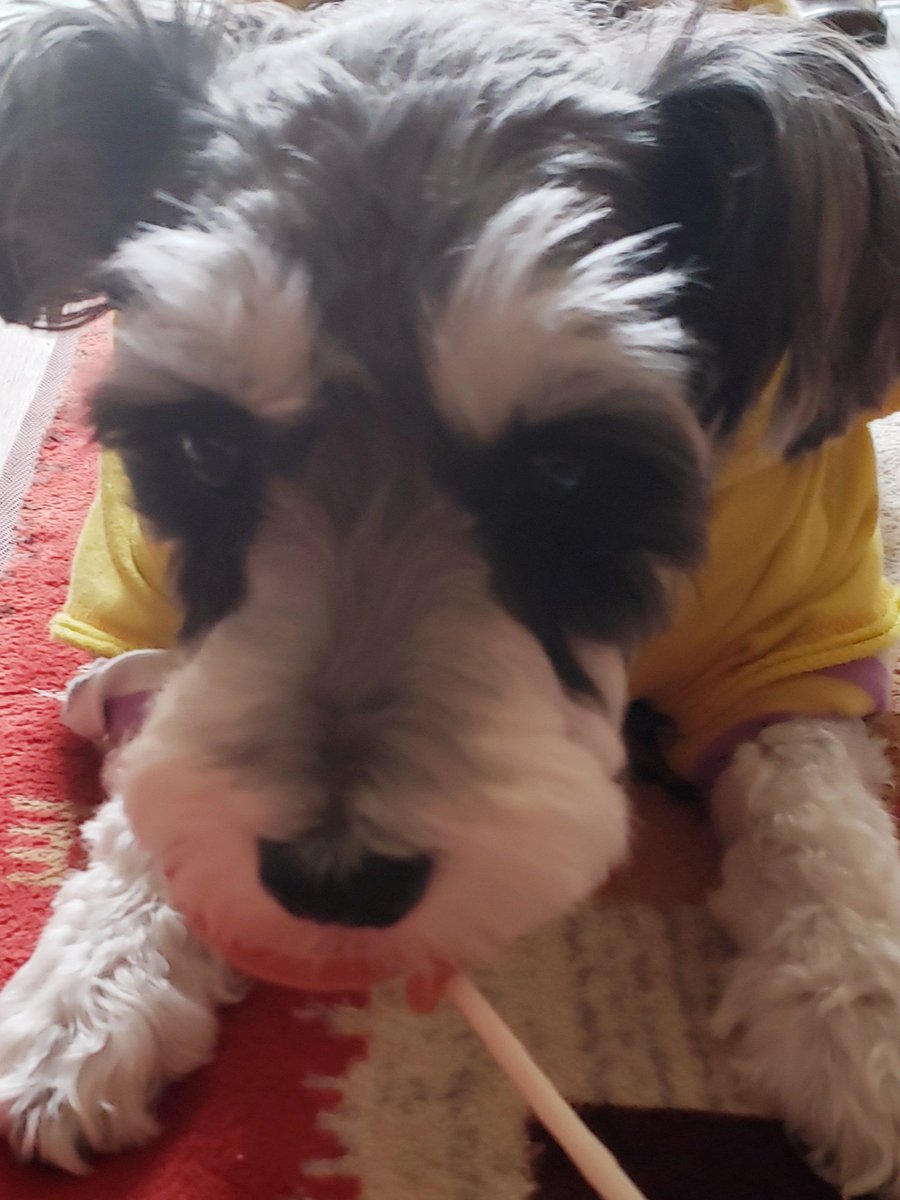 HIROMI (@majyochan88) / Posts / X