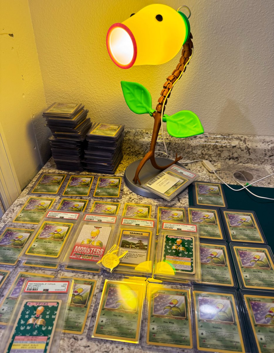 Sprout Bandit🌱 tweet media