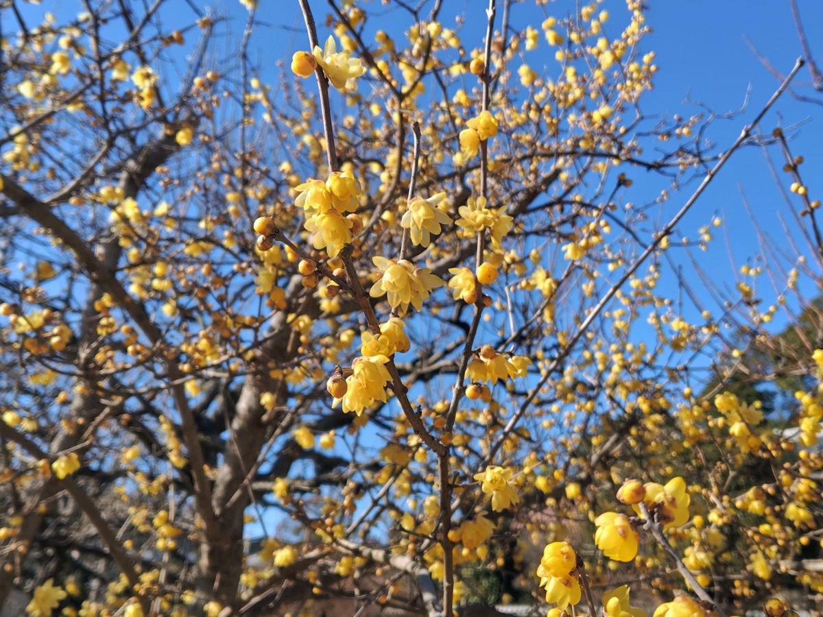 おはようございます。選挙戦がスタートしました。国民が政治に関心を持って、もっと投票率が上がってほしいです。
今日も良い一日を✨