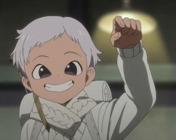 The Promised Neverland Perfect Shot tweet media