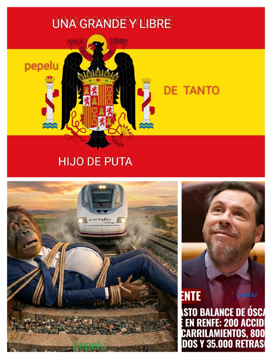 Corrupto, inútil, indecente,
chorizo, delincuente, escoria 
comunista, al paredón.