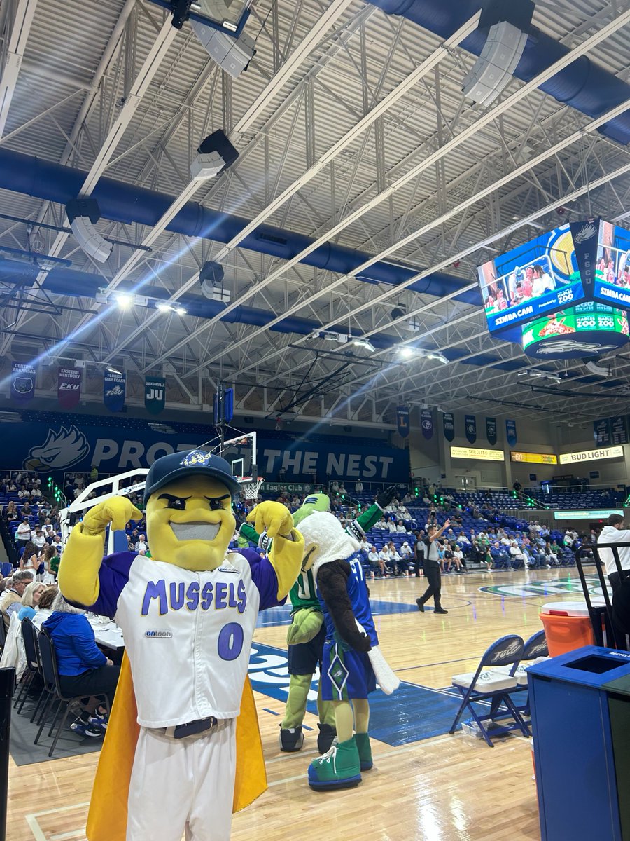 Fort Myers Mighty Mussels tweet media