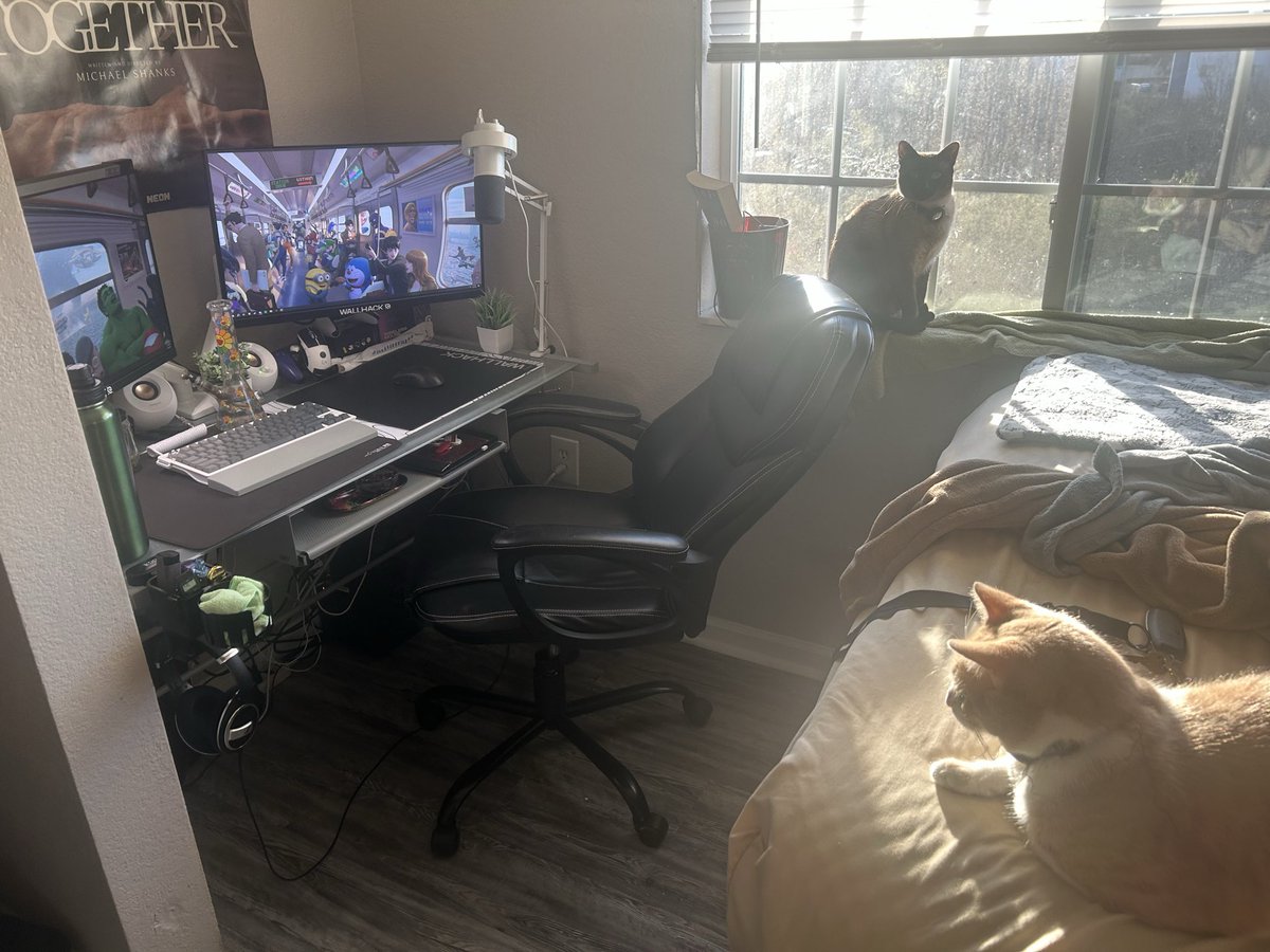 tyler albert tweet media