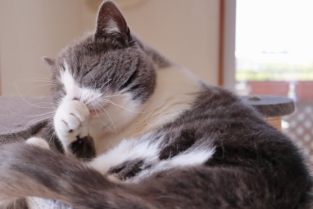 実は今日会社行けば明日は茨城出張＆飲み、そして明後日は有休消化日だったりします。何かすみませんおはようございます。