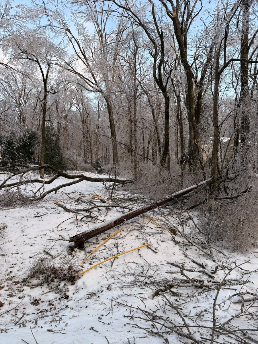 Jonathan Barnes tweet media