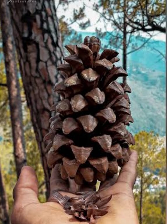 Be yourself, everyone else is already taken.

GOOD MORNING X FAMILY 🌄