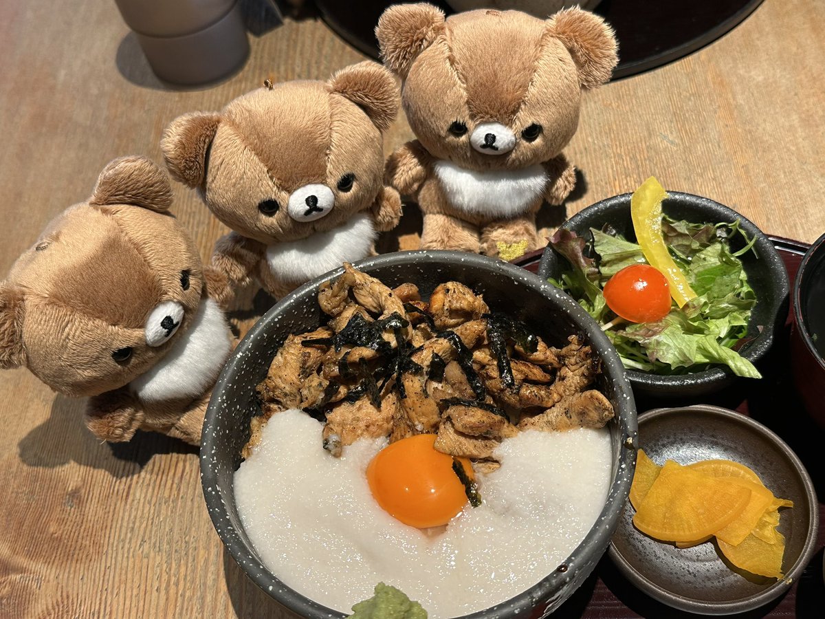 くまちゃん♡ʕ•ᴥ•ʔ♡ 二度目の大阪遠征たくさんの思い出ができました🐻💭 またみんなで行