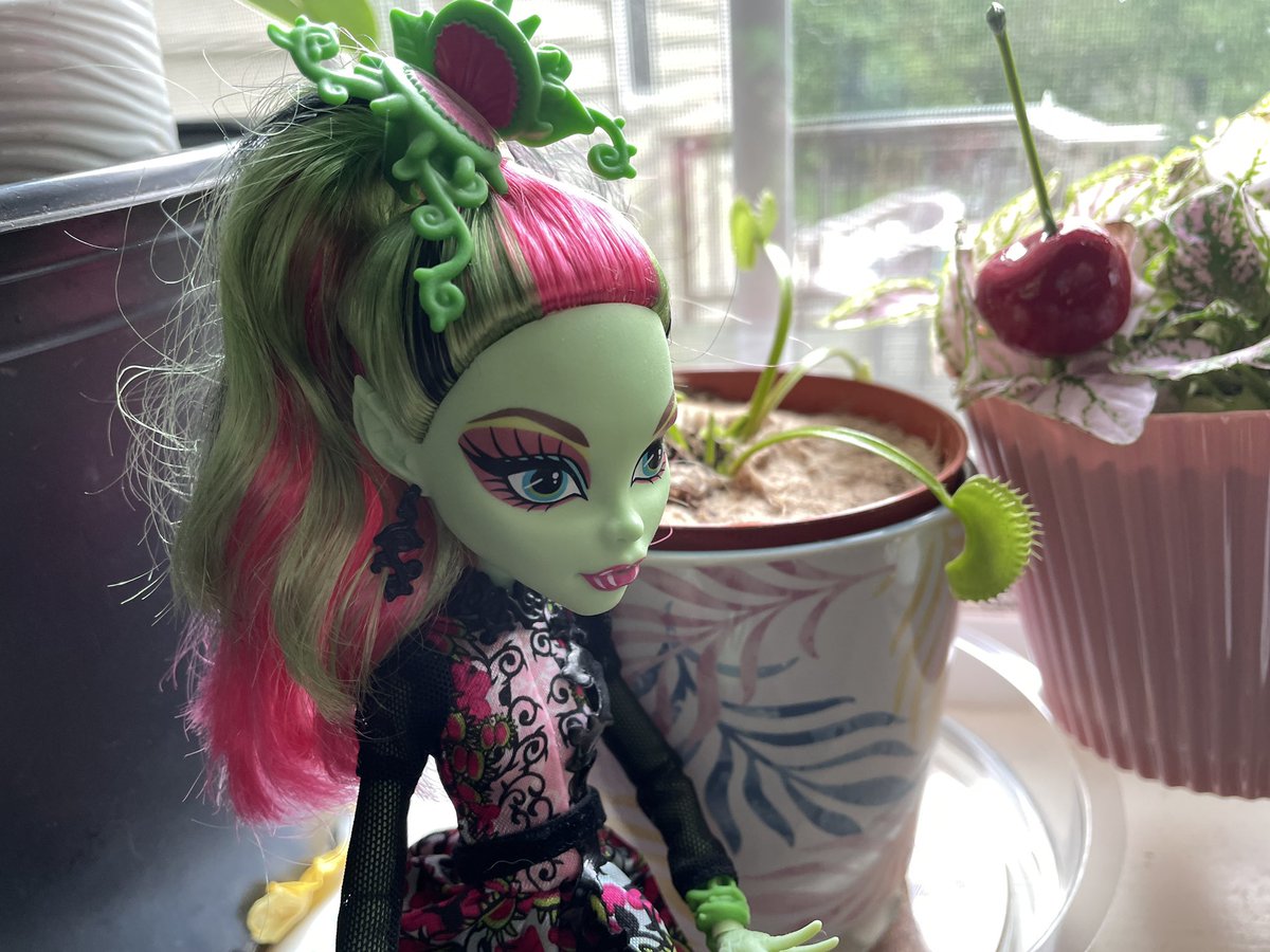 Gh0stly_Flower's tweet photo. Monster High nature loving ghouls 🍃💚🍃 #batsyclaro #venusmcflytrap https://t.co/7LwkeSDm38