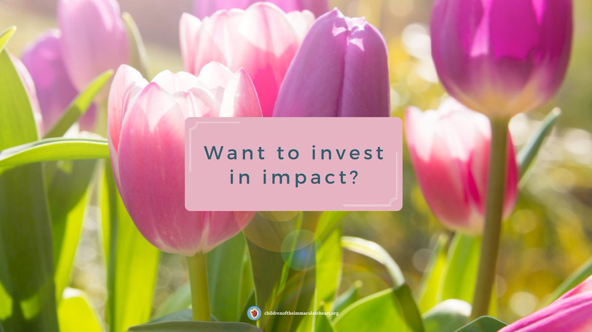 C_I_Heart's tweet photo. 🌷Would you or your business prayerfully consider sponsoring our 13th Annual Gala this April?

If you are interested or have questions, please email: jenna.christakis@ciheart.org

#SanDiegoBusiness #FaithInAction #CommunityImpact #SupportSurvivors https://t.co/r7KhwucmL4