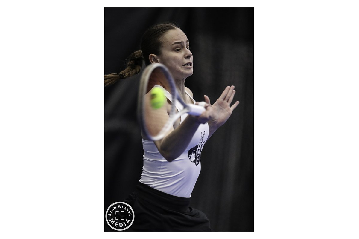 Ryan Weaver Media tweet media