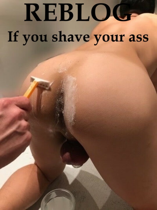 The Gay Guide🍆 tweet media