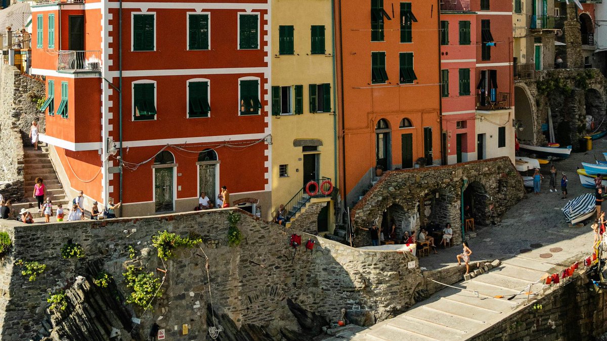 Had a colourful feed recently