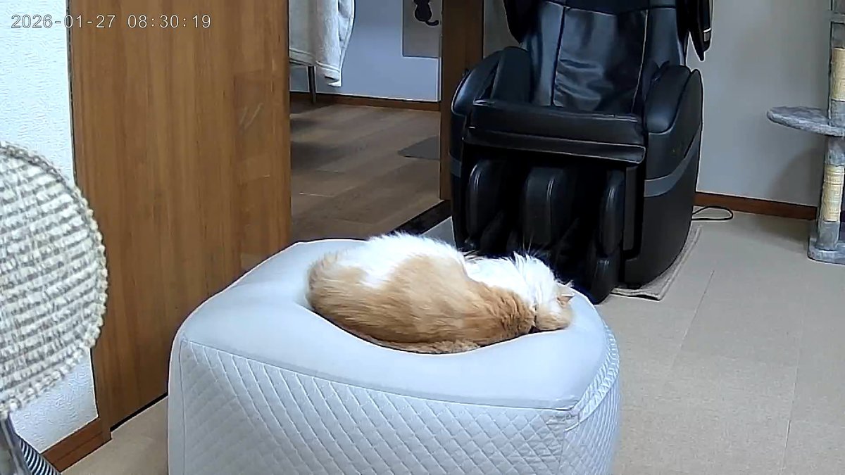 どこで寝てんのよw