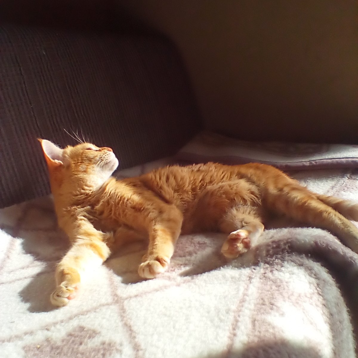 おはようございます。