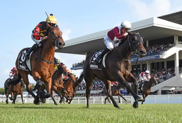 kiaorastud's tweet photo. Farnan is making waves in NZ after a weekend to remember over the ditch.

A 100% clearance in Book 1 @KarakaChat 2026 saw his progeny sell for up to $230k, he went agonisingly close to landing the $1m Karaka Millions 2YO (as well as the RL Magic Millions 3YO Guineas last weekend!), and he now sits in the runner-up spot on both the Aus & NZ Leading Second Season Sires tables.

Farnan is flying...on both sides of the Tasman ✈️

📷 | Farnan colt, Magill (inside) in the $1million Karaka Millions 2YO. Image c/o Megan Liefting (Race Images) via Breednet