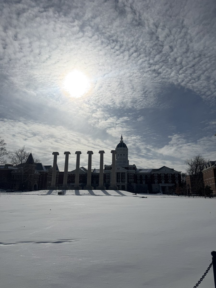 Tin Cup Mizzou tweet media