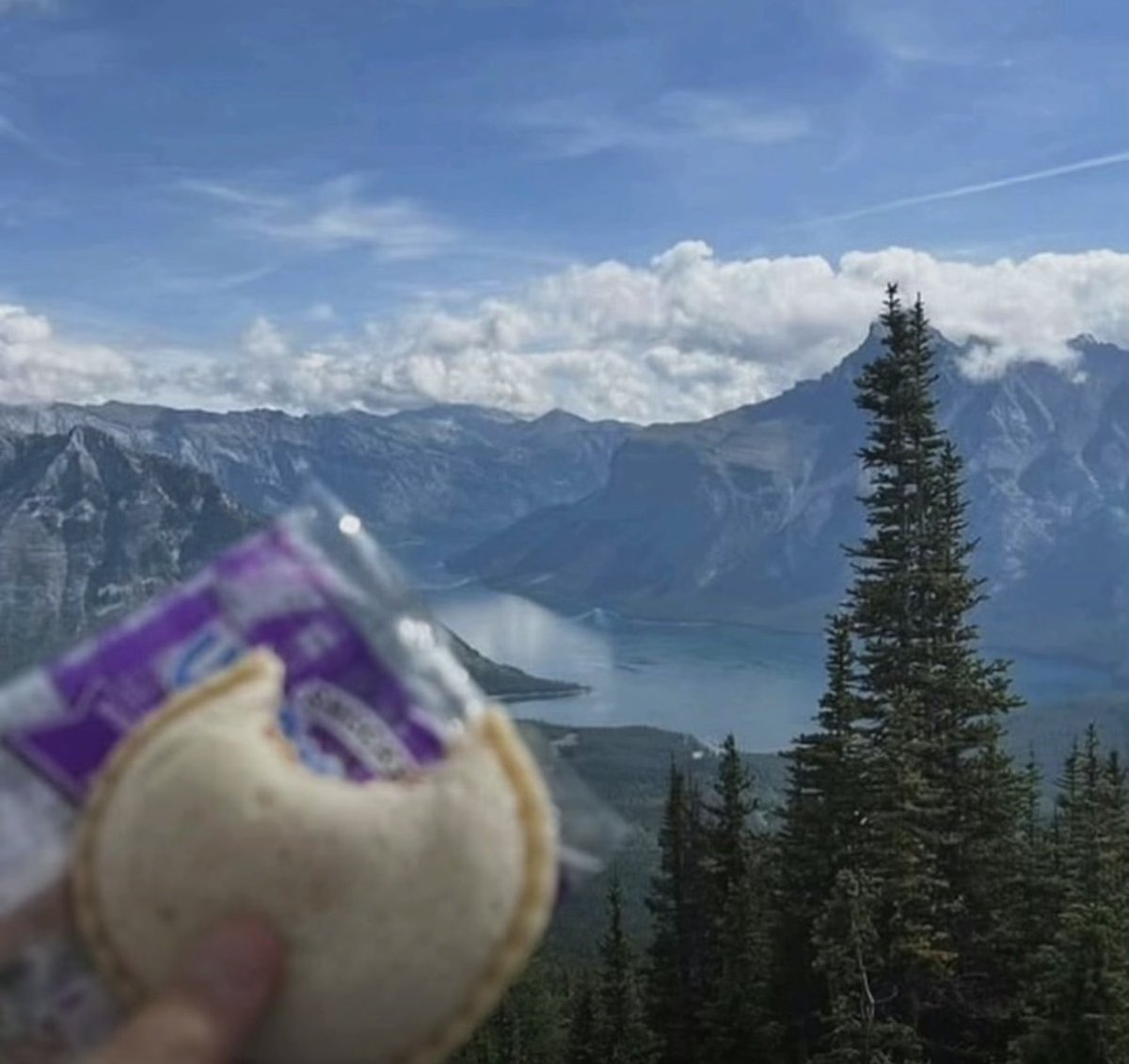 SimplyDavy's tweet image. You can just chill