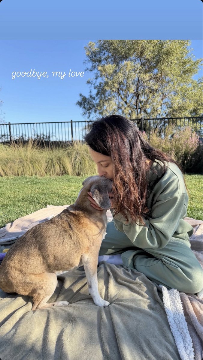 Jenna Haze tweet media