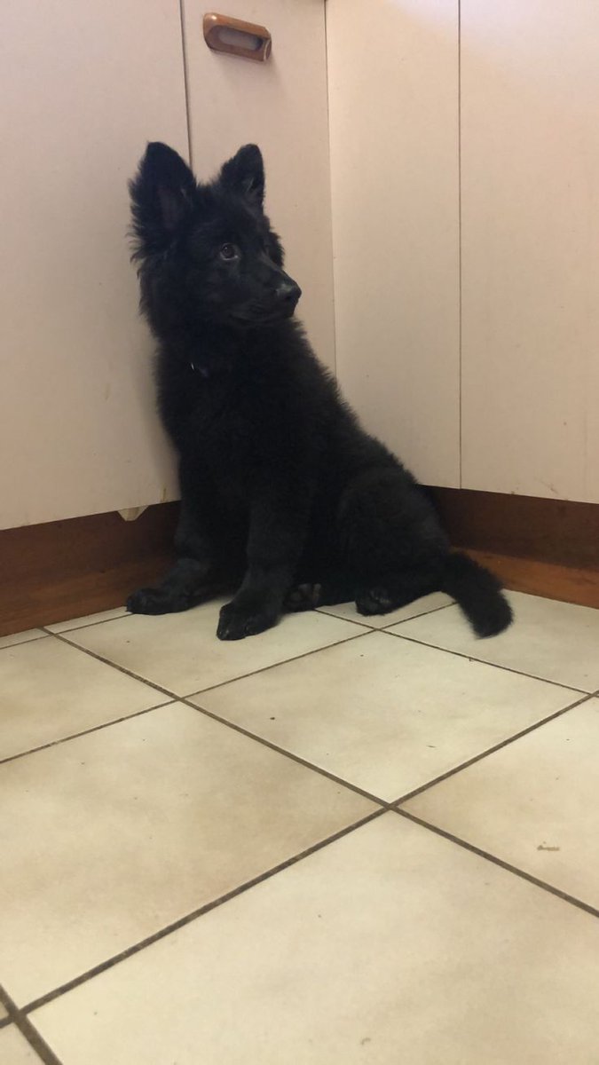 valeria .ᐟ tweet media