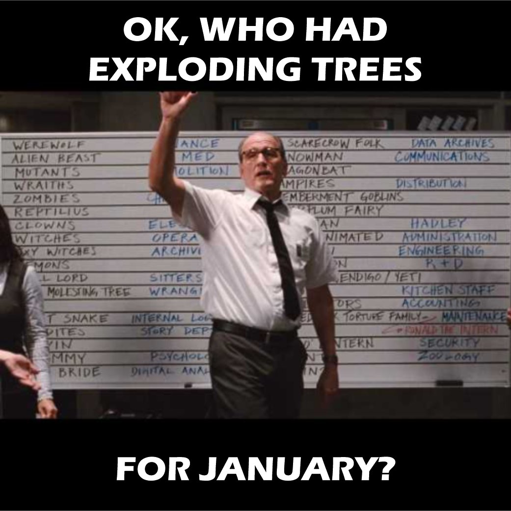 AJ Sportfish 🇨🇦🇺🇲 (@ajsportfish) on Twitter photo 