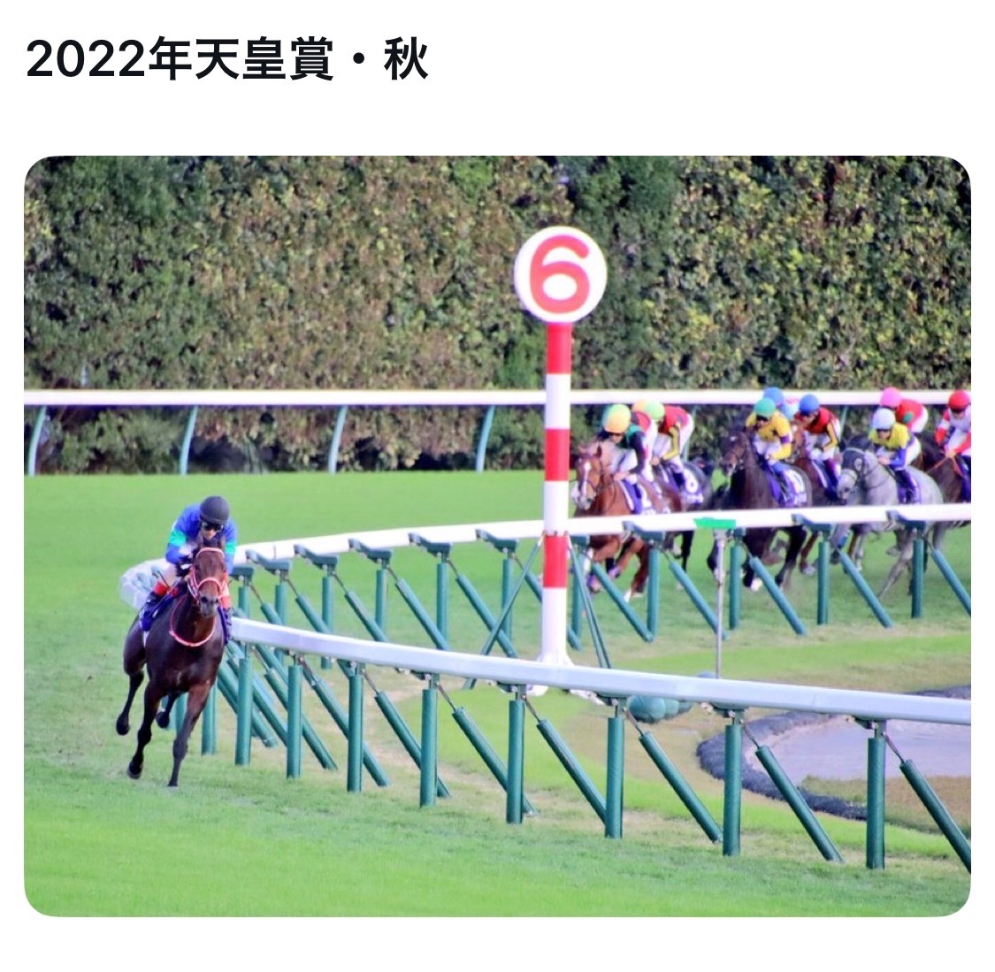 bozu_108's tweet image. 競馬ファンにこれを見せたら興奮する選手権

最優秀賞、金賞、入賞、入賞