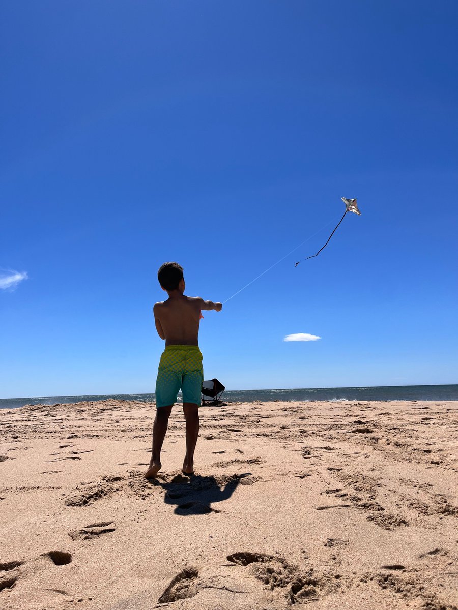 NY State Parks tweet media