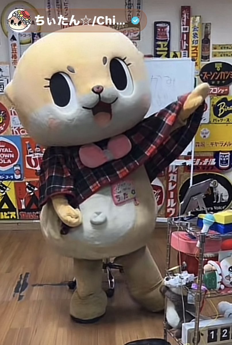 ちぃたん fit=scale-down,w=1200