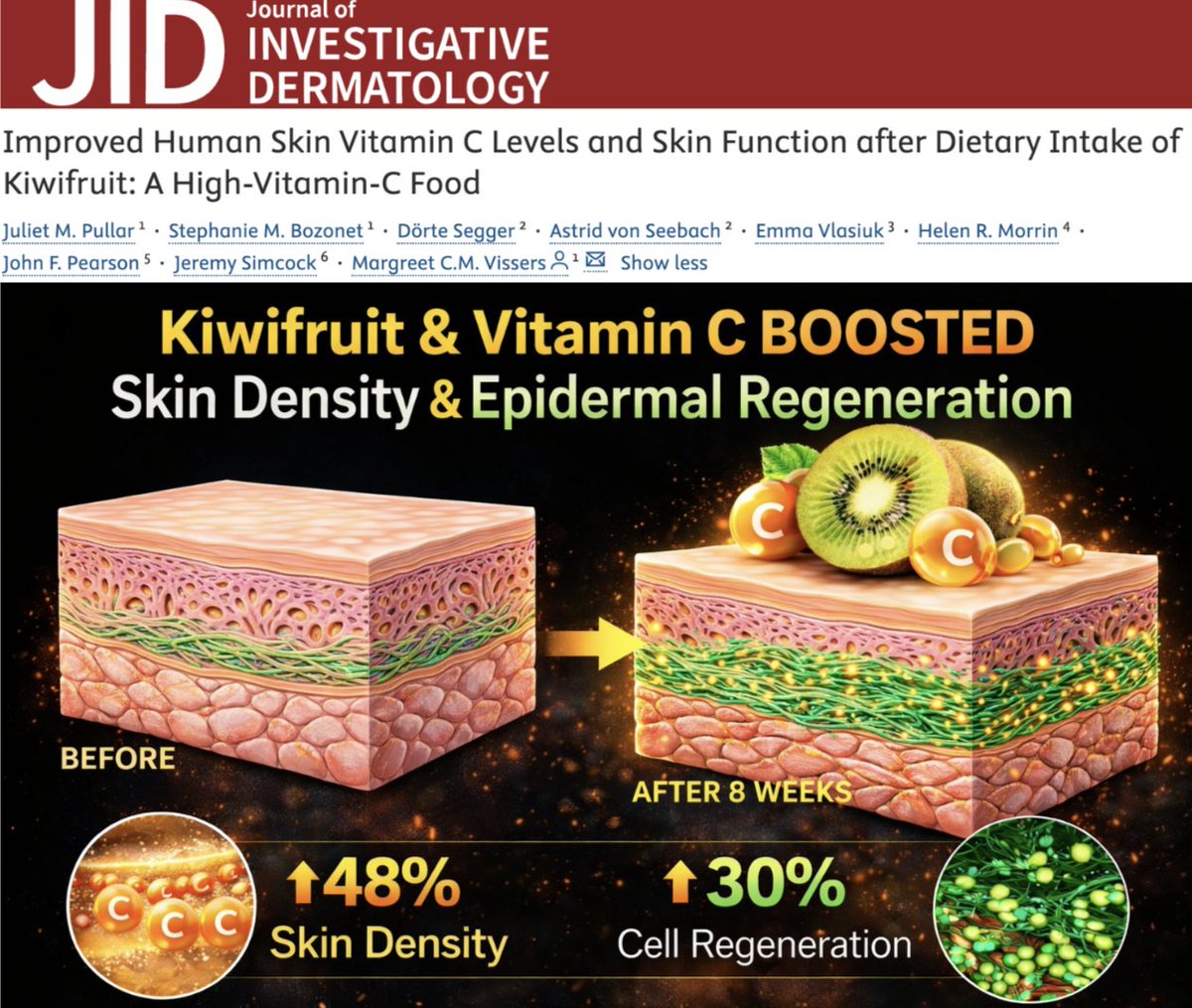 🚨NEW STUDY: Eating Kiwifruit Increases Skin Density by 48% and Epidermal Regeneration by 30% via Raising Skin Vitamin C Levels

Dietary vitamin C rapidly enters skin tissue and improves structural density and epidermal renewal within 8 weeks.

Participants with lower vitamin C