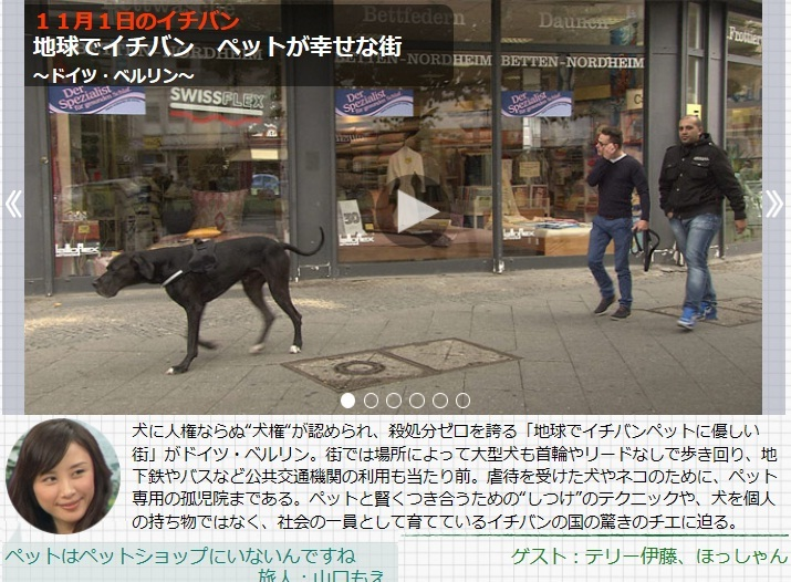 MegumiTakeda4's tweet photo. @inusuki2025 客観的に法律の規定や統計で明らかな事実に反する嘘ですらHNKでも平気でする。マスコミなんて信じてはいけませんよ。（左）NHK 2022年「地球まるわかり」。フランスには「すべての動物のショーケースでの展示販売禁止」という法律は一切ありません。（右）2014年 NHK地球イチバンHP　記述はすべて嘘。 https://t.co/HrI9ZpT1rf