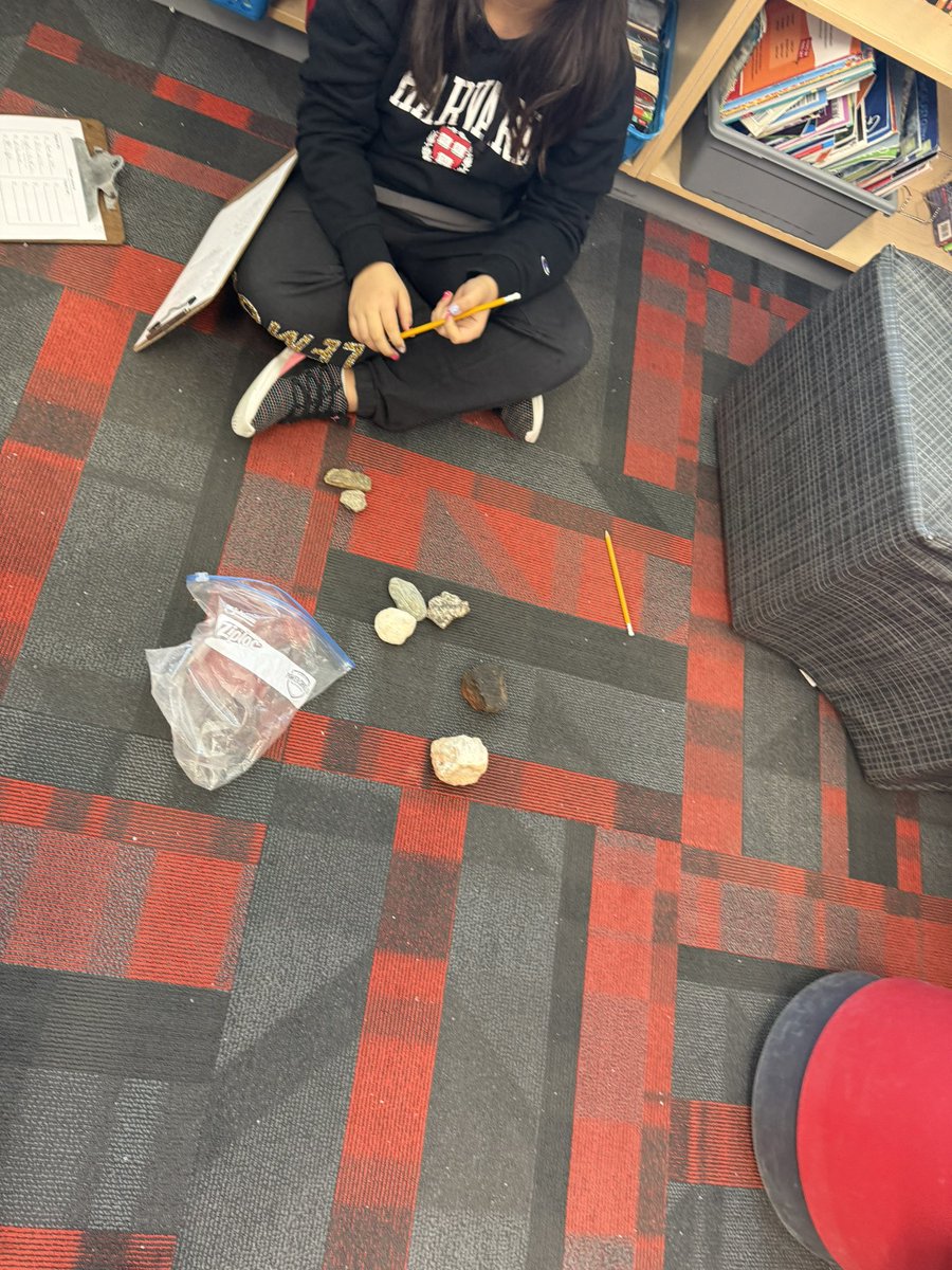 Ms.Fedele tweet media