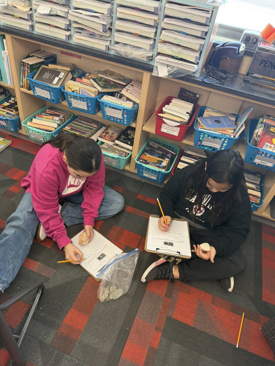 Ms.Fedele tweet media