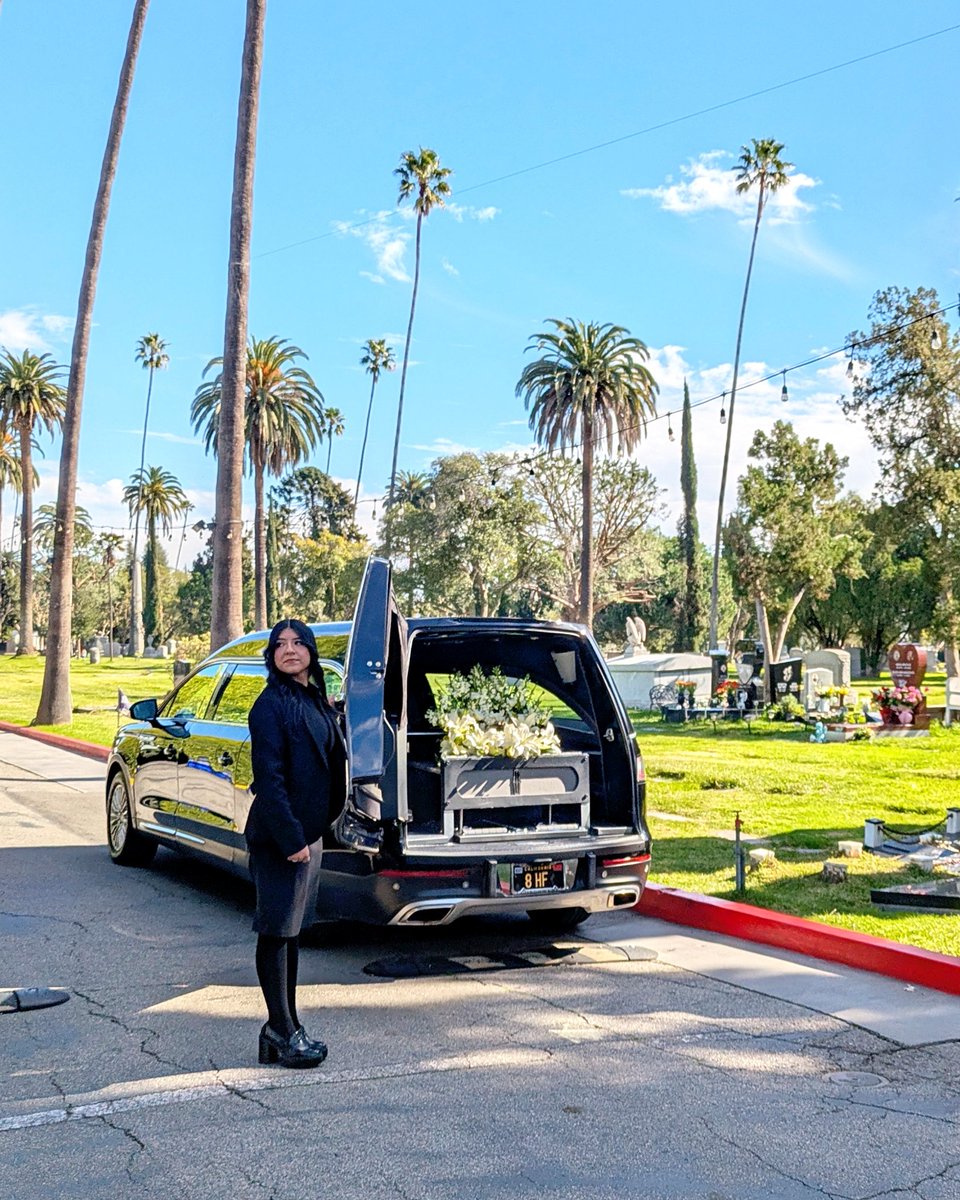 Matthew Chernov tweet media