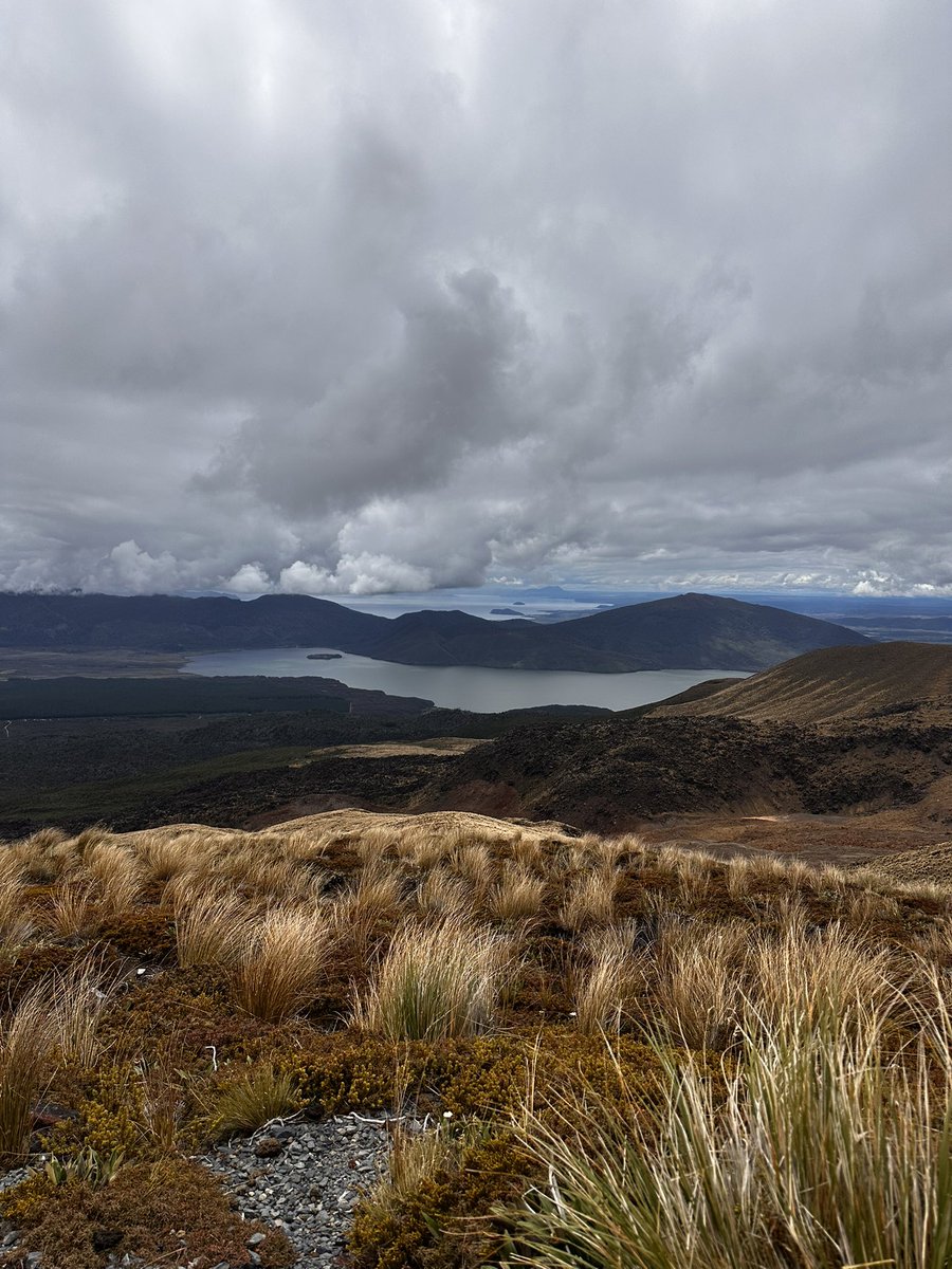 Cathryn 🇺🇦 tweet media