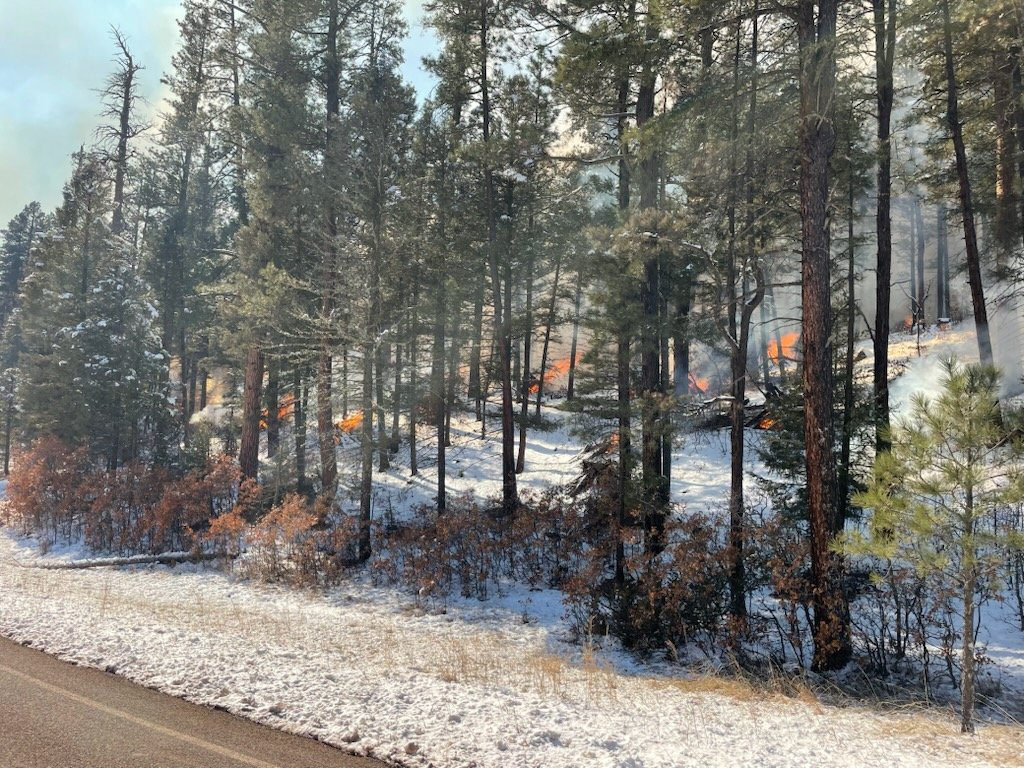 Santa Fe National Forest tweet media