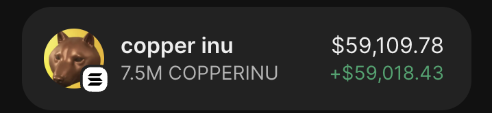 weibnb's tweet image. Once you find the insider wallets, it seems like a game.

$6,000 -&amp;gt; $60,000

Interact with this post, might change your life.

Thanks $COPPERINU