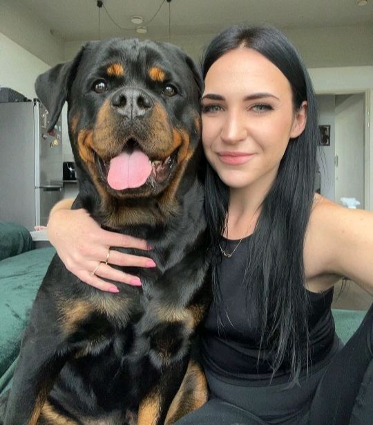 Dog66463Johnson's tweet image. “Soft looks, hard to ignore 😏
Just a preview… the rest is waiting 👀
I post what your timeline wishes it had

Click on the link below 

linktr.ee/janetdiamond

#spicytwitter
#AfterDark
#NSFWCreator
#18Plus
#AdultCreator
#Zootopia2spoilerps
#Zoophilewr
#Chudai 
#K9