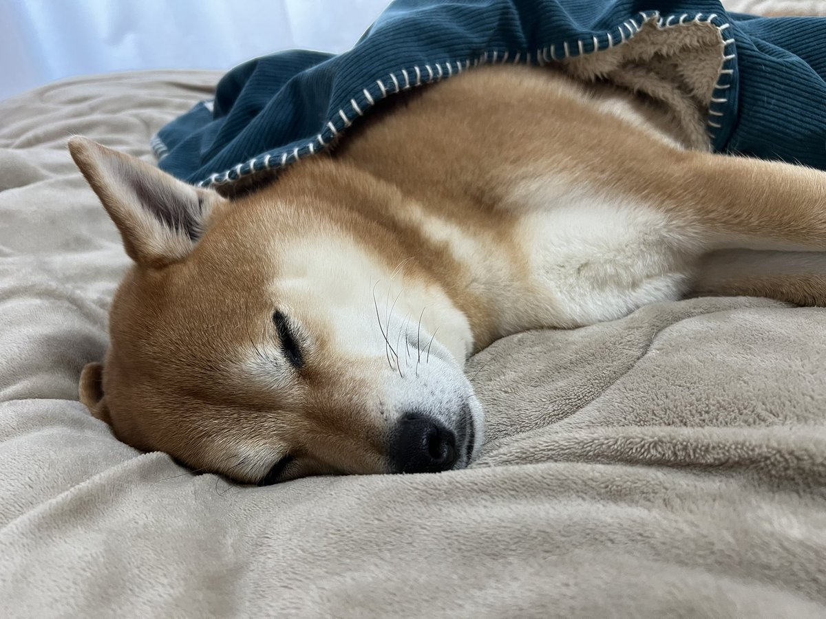 ちょっかいかけたくなる寝顔😩