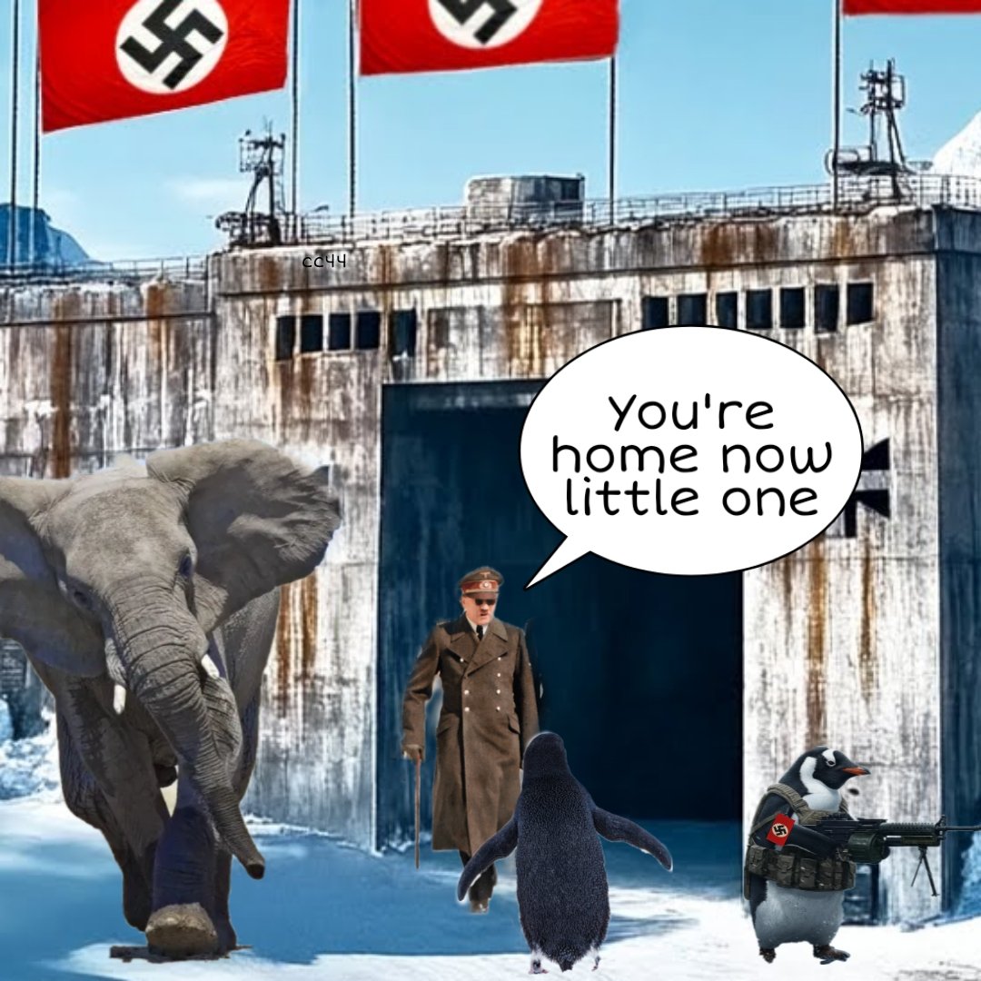 He wasn't going into the mountains to die. He was going home.