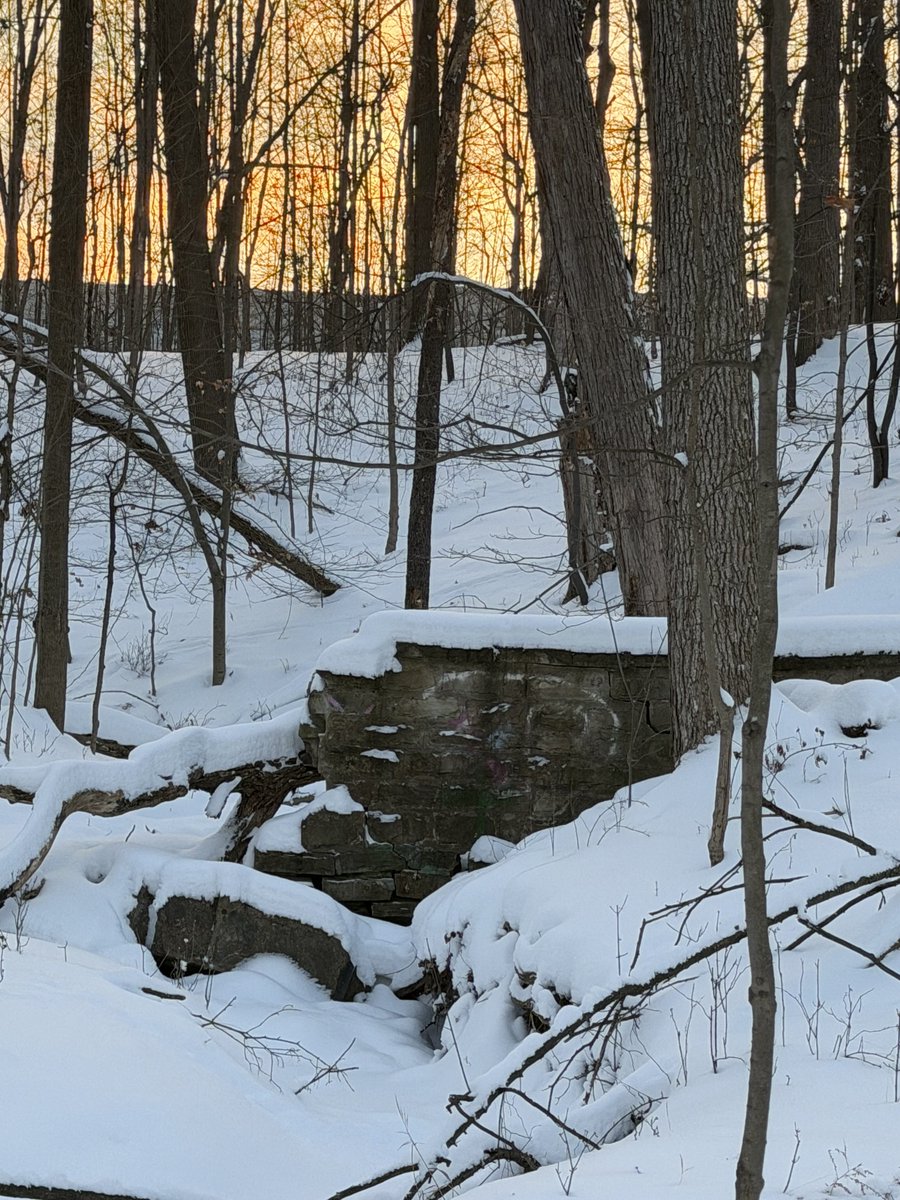 xvermonter61's tweet photo. Momma walked this evening without me! Pffftt! π€¨ I might not have wanted to jump in the car. Tomorrow is supposed to be frigid so she wanted to go check on the eagles (that werenβt there)! #DogsofTwitter #MondaySunset https://t.co/u4gFQh5Zx7