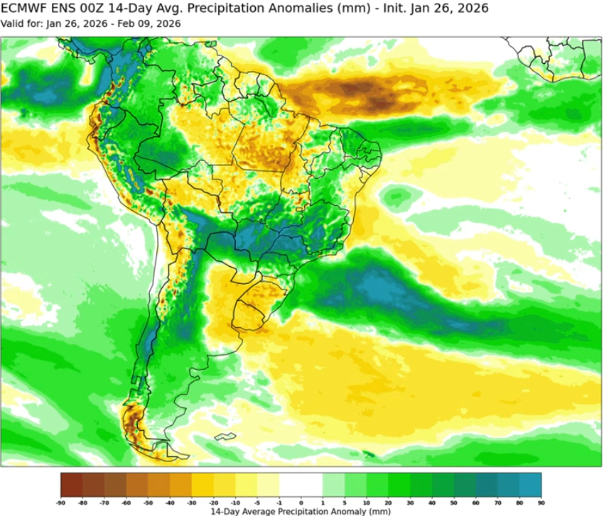 🌧️⛈️Profesor Eduardo ( The Weatherman) 🌨️🌪️ tweet media