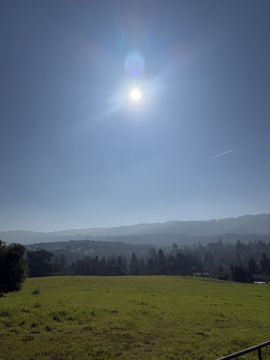 Bilal Zuberi tweet media